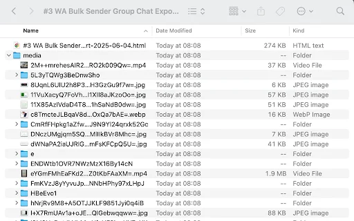 I-backup ang WhatsApp Chat – I-export ang Messages at Media Ngayon - Screenshot 4