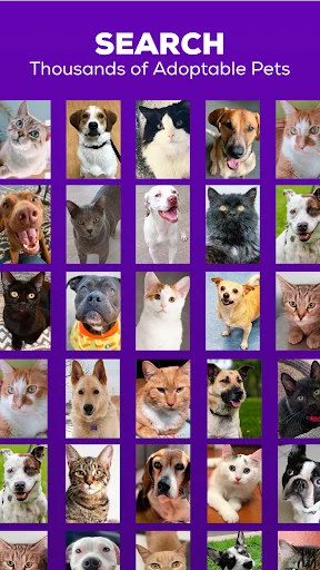 I-download ang Petfinder App: Maghanap ng Aasuhin at I-adopt Ngayon - Screenshot 1
